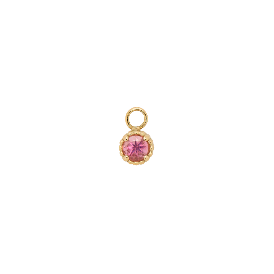 Birthstone Earring Charm 14K - Image 16