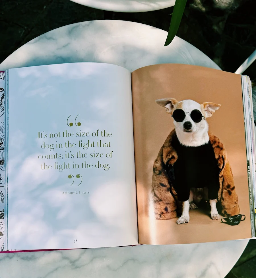 Chic Dogs Book by Assouline - Image 3