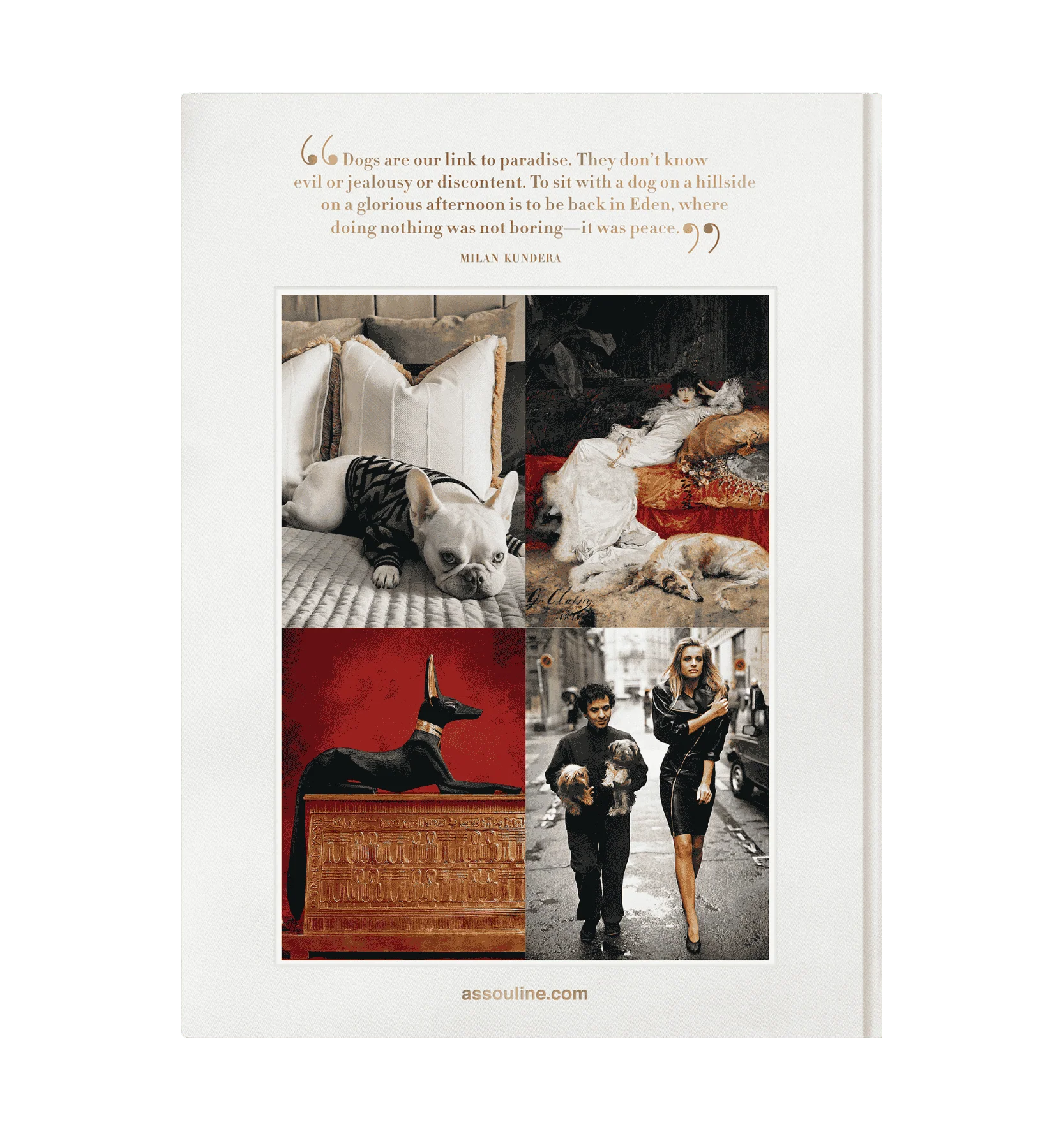 Chic Dogs Book by Assouline - Image 7