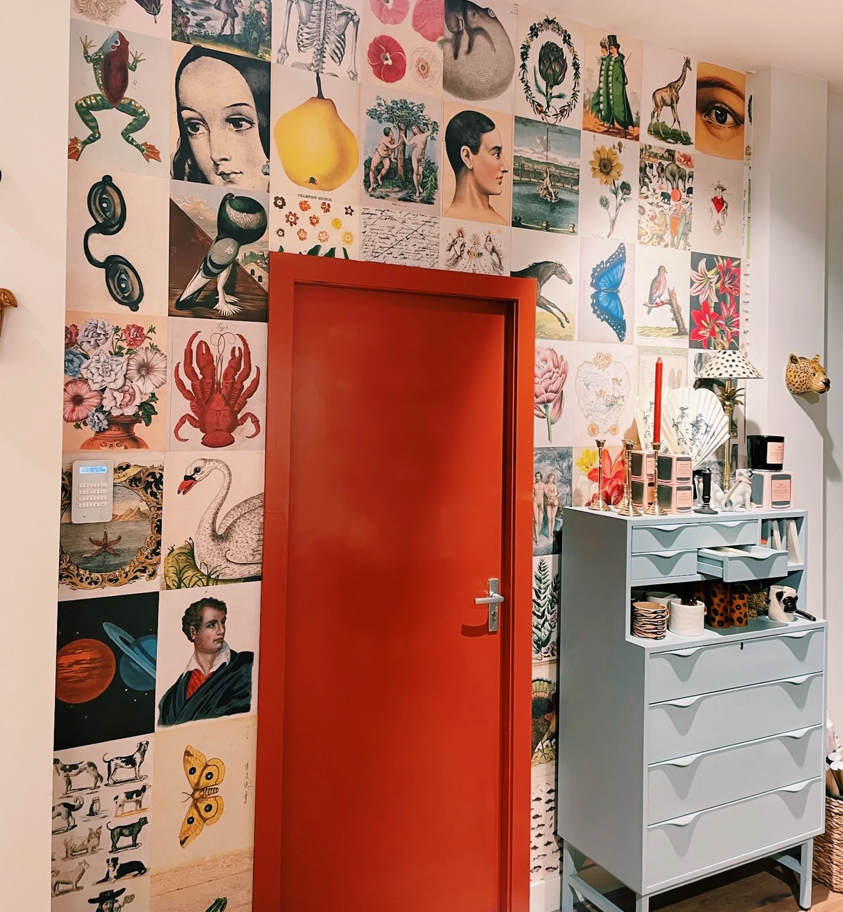 John Derian Picture Book - Image 3